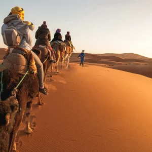 Discover the Sahara on a 2-Day Fes to Merzouga Tour