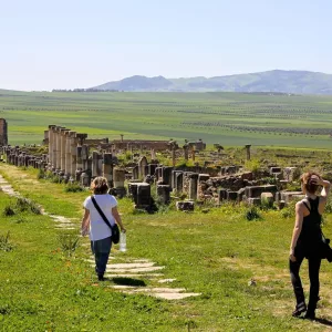 Meknes Volubilis Moulay Idriss Day Trip from Fes