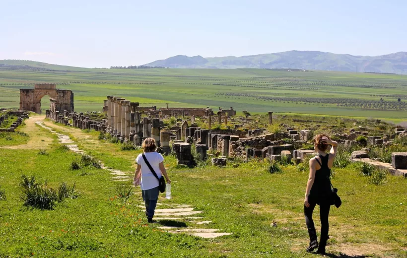 Meknes Volubilis Moulay Idriss Day Trip from Fes