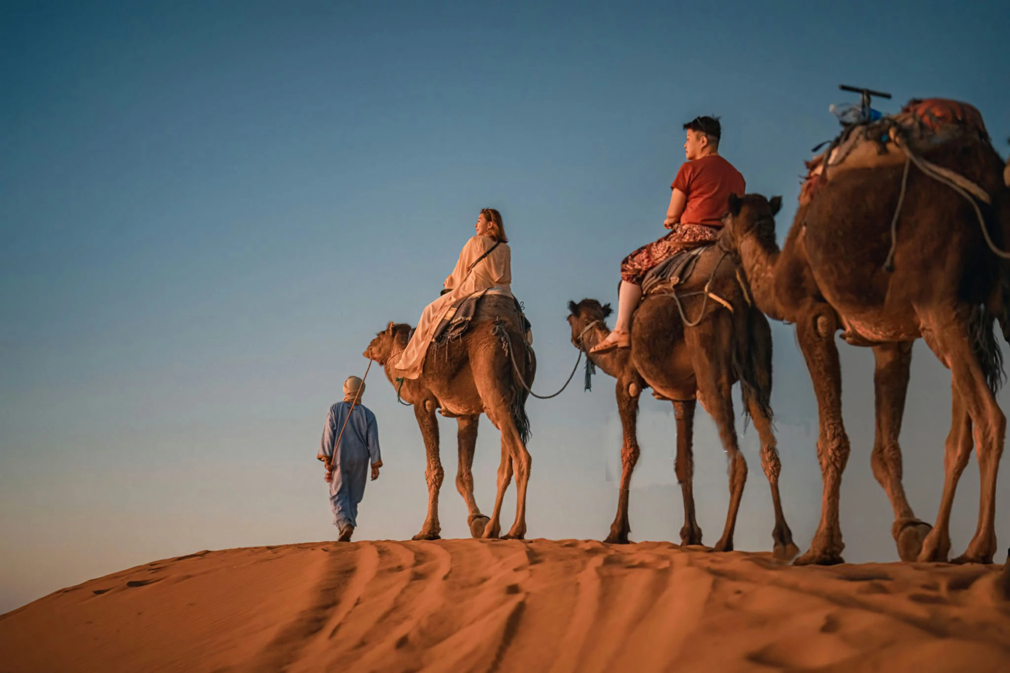 morocco camel trips Merzouga