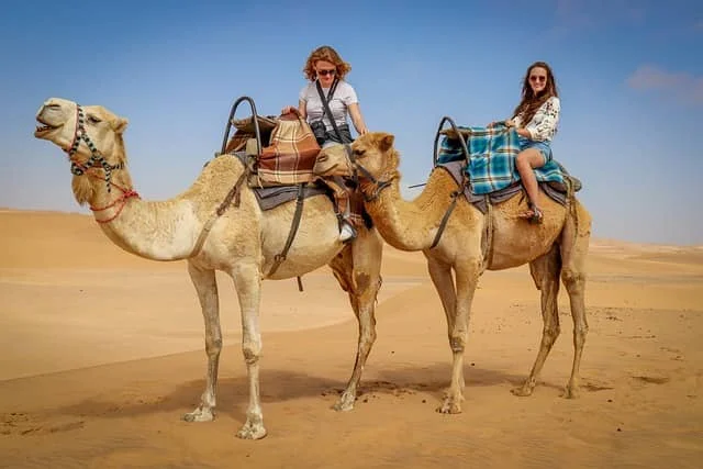 camel rides in morocco