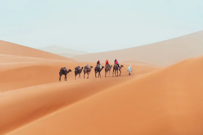 camel-trek-with-tourists-through-the-sahara-desert
