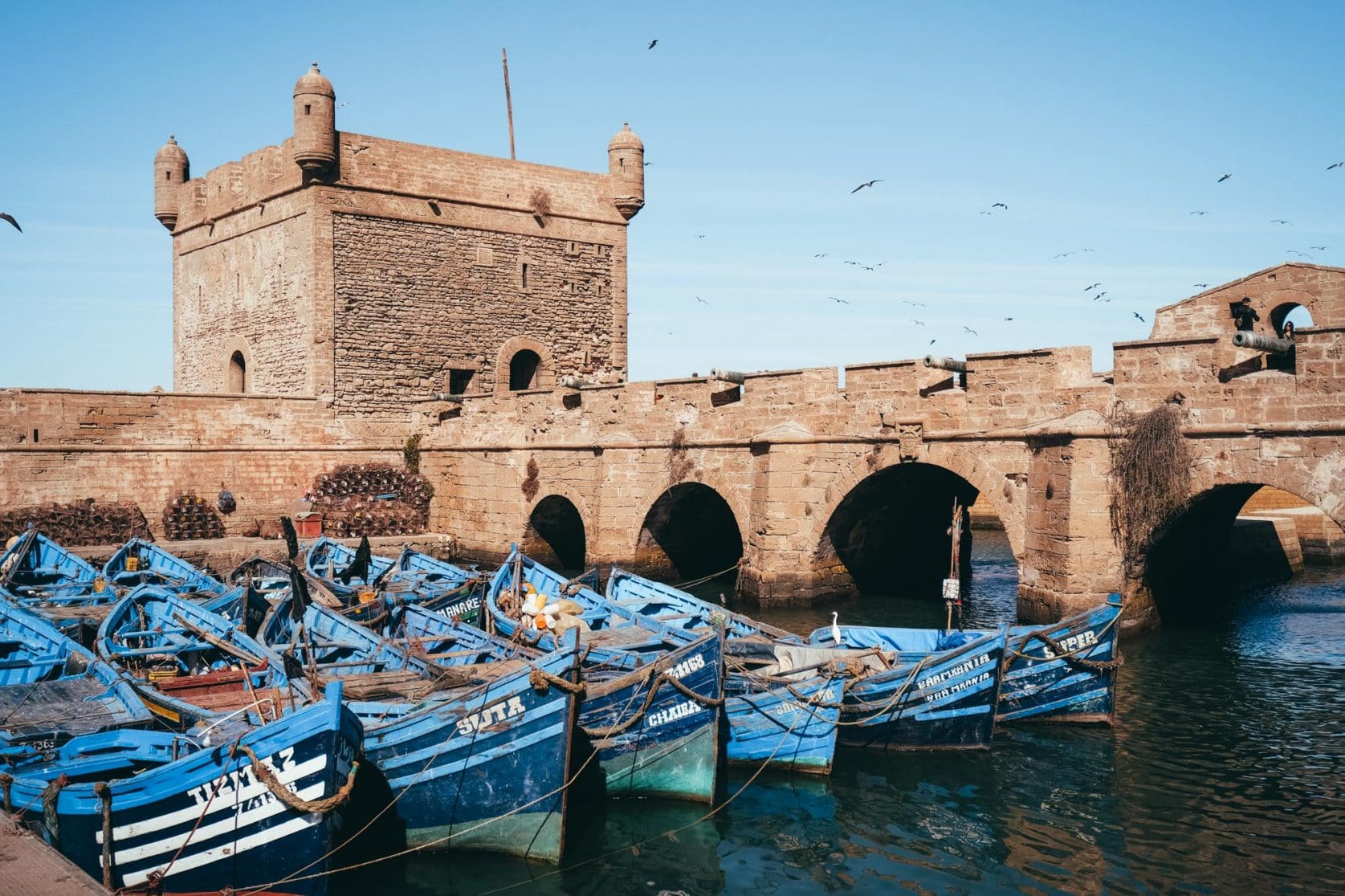 Coastal Tranquility in Essaouira