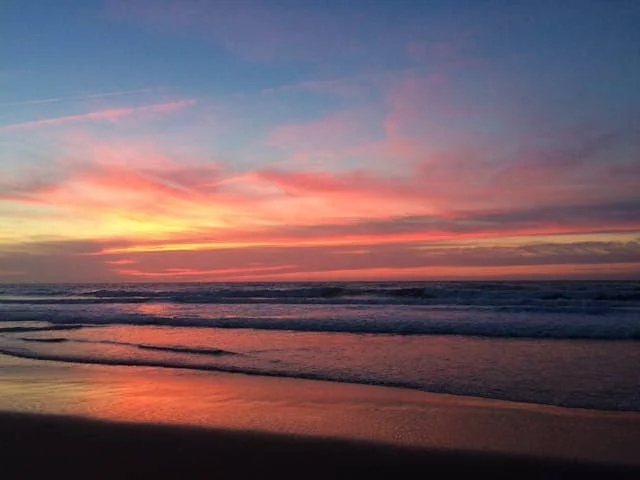 Coastal & Marine Conservation Morocco
