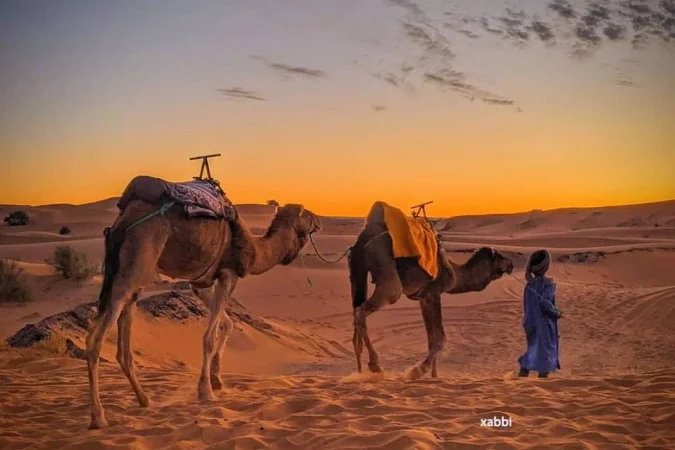 luxury camel trek morocco