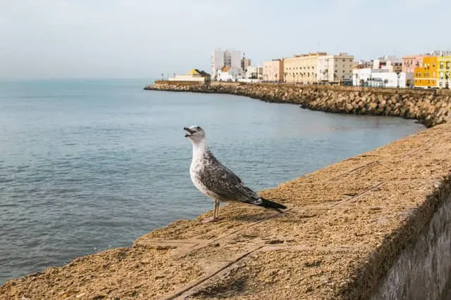 Larache coastal scene