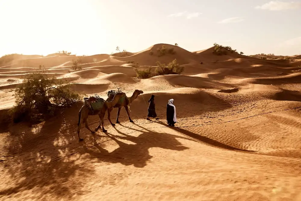 camel trekking marrakech