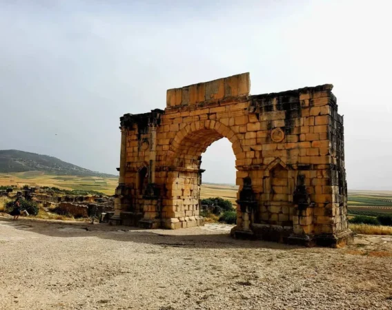 moroccan tour volubilis