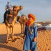 morocco camel ride