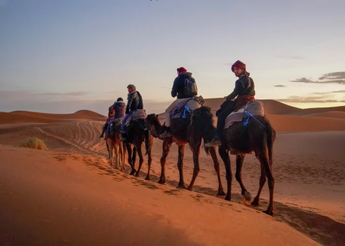 7 Days Tour From Tangier To Marrakech