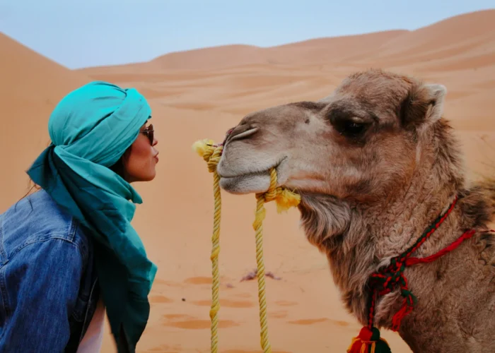 7-day Around Morocco Tour from Rabat