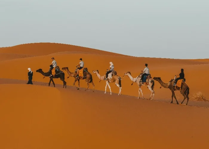 7 Days Tour From Casablanca