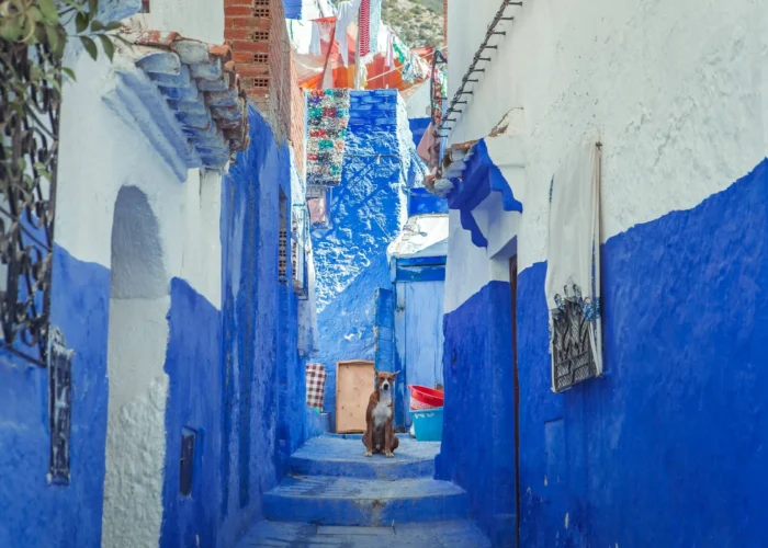 Day Trip from Tangier to Chefchaouen