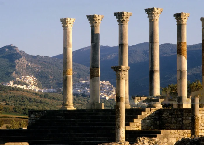 Day trip to Meknes and Volubilis from Casablanca
