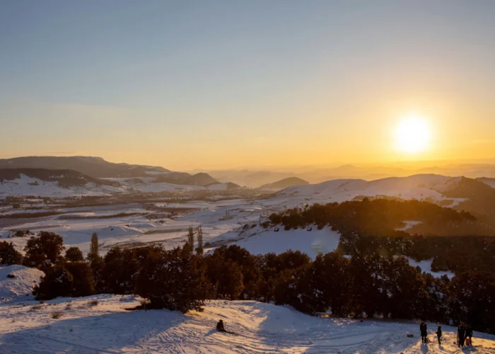 Day trip to the Middle Atlas, cedar forest, Azrou and Ifran