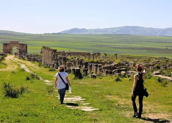 Meknes Volubilis Moulay Idriss Day Trip from Fes