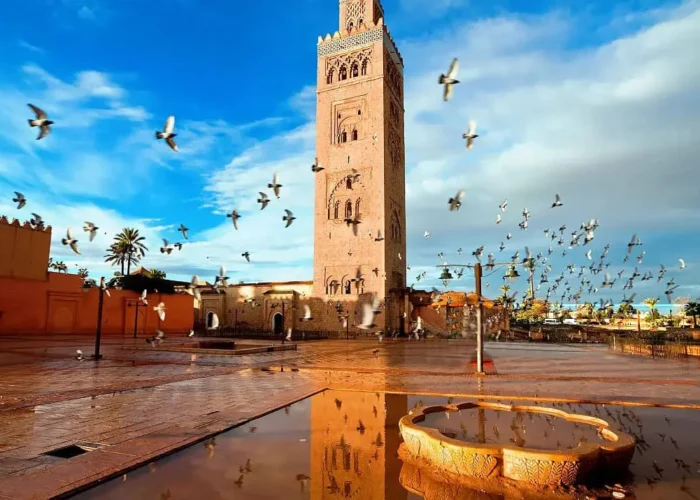 day trip to Marrakech from Casablanca